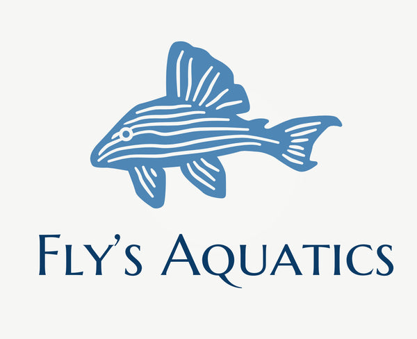 Fly’s Aquatics